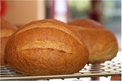 Picture - Fresh Baked Round Bread