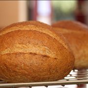 Picture - Fresh Baked Round Bread